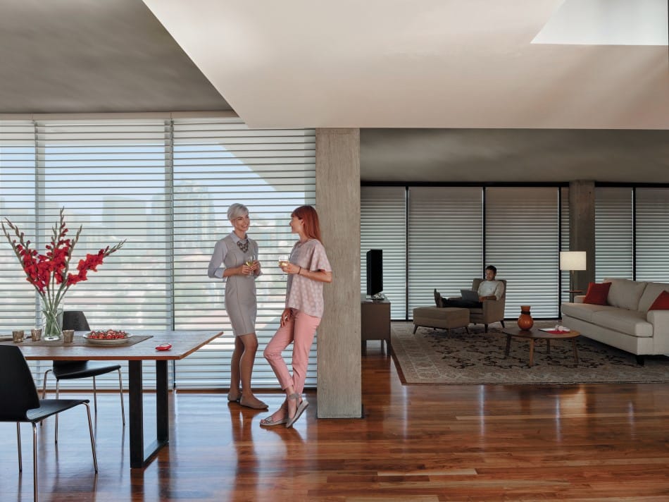 Window Shades Motorized Blinds - Shades by Design